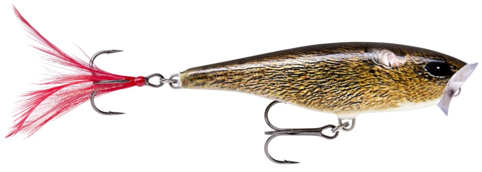 Rapala Skitter Pop 7cm
